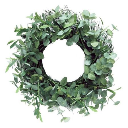 ADLMIRED BY NATURE Admired by Nature ABN5W003-NTRL 24 in. Artificial Olive All Season Wreath Home Decor; Green ABN5W003-NTRL